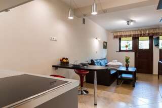 Апартаменты udanypobyt Apartament Studio Na Tetmajera Закопане Апартаменты-студио-17